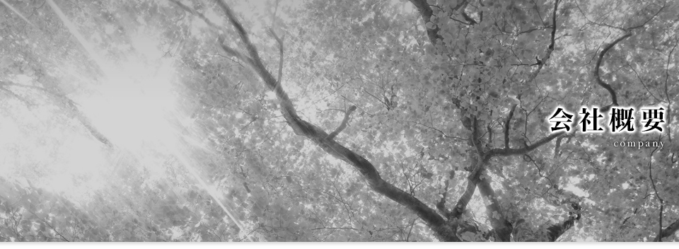 会社概要