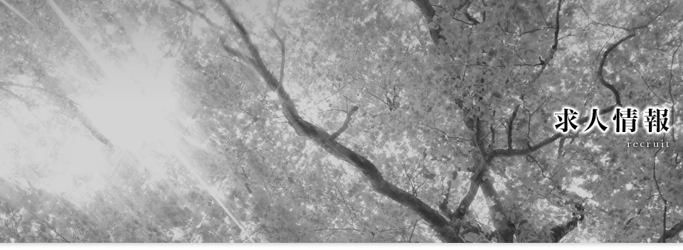 求人情報